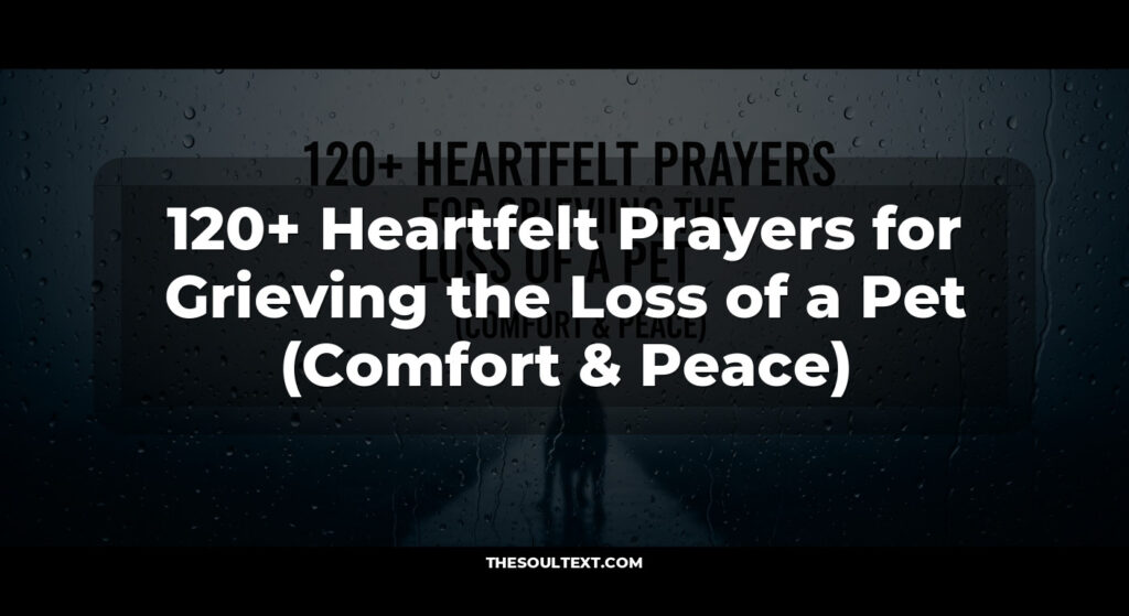 120+ Heartfelt Prayers for Grieving the Loss of a Pet (Comfort & Peace)