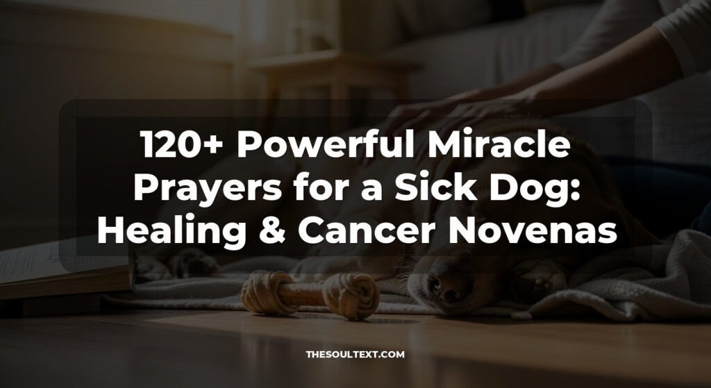 120+ Powerful Miracle Prayers for a Sick Dog: Healing & Cancer Novenas