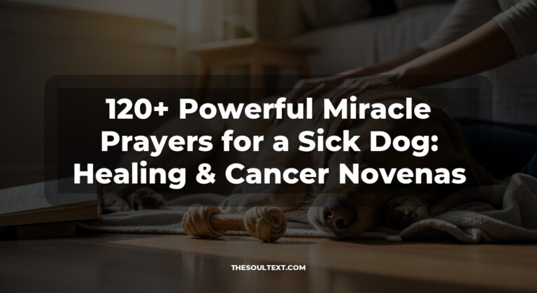 120+ Powerful Miracle Prayers for a Sick Dog: Healing & Cancer Novenas