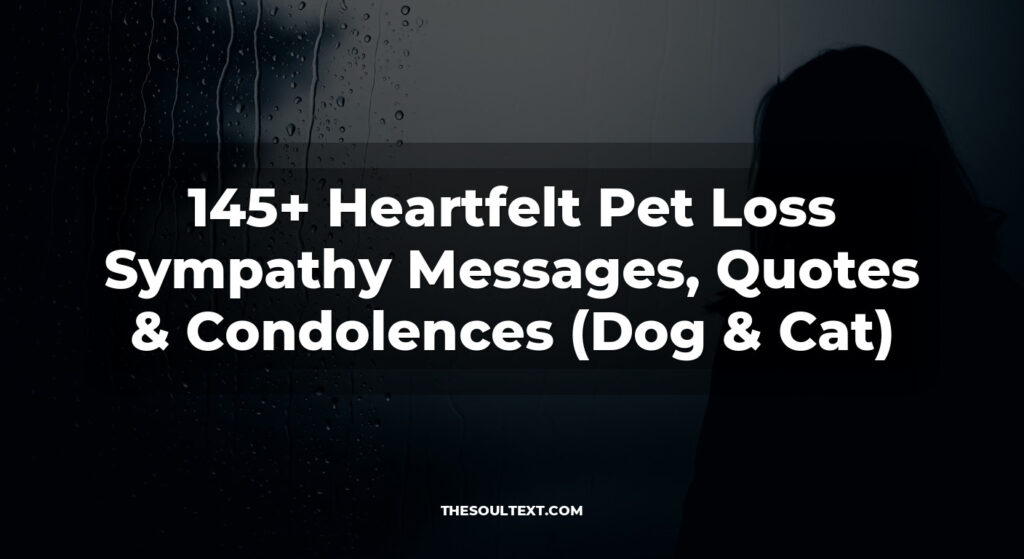 145+ Heartfelt Pet Loss Sympathy Messages, Quotes & Condolences (Dog & Cat)