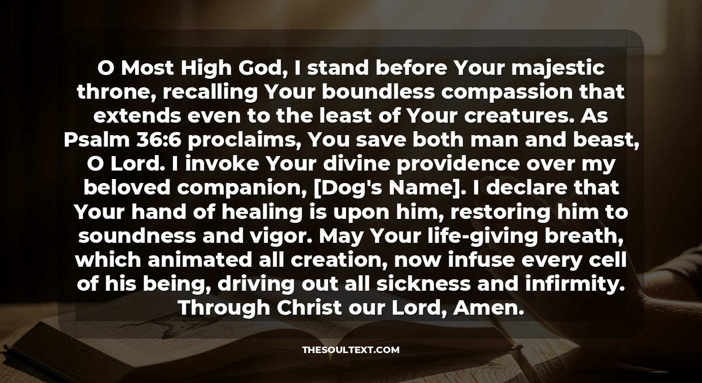 9-day Novena Prayer for a Sick Dog: a Journey of Faith