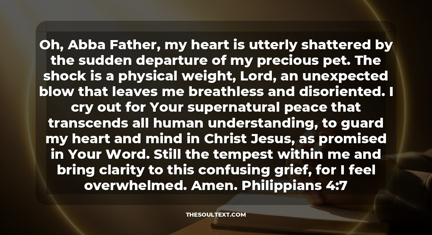 A Prayer for a Pet Who Died Suddenly (shock & Trauma)