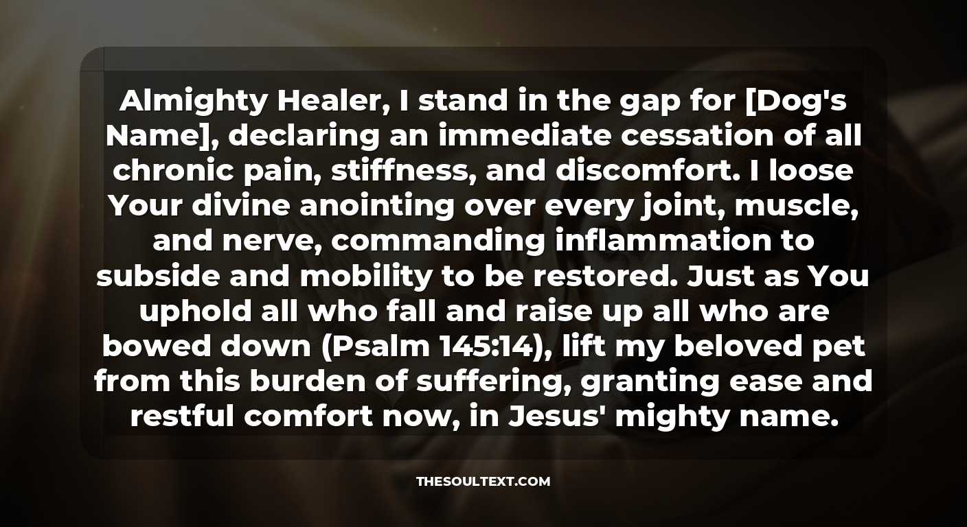 A Special Prayer for an Elderly Dog Dealing with Chronic Pain