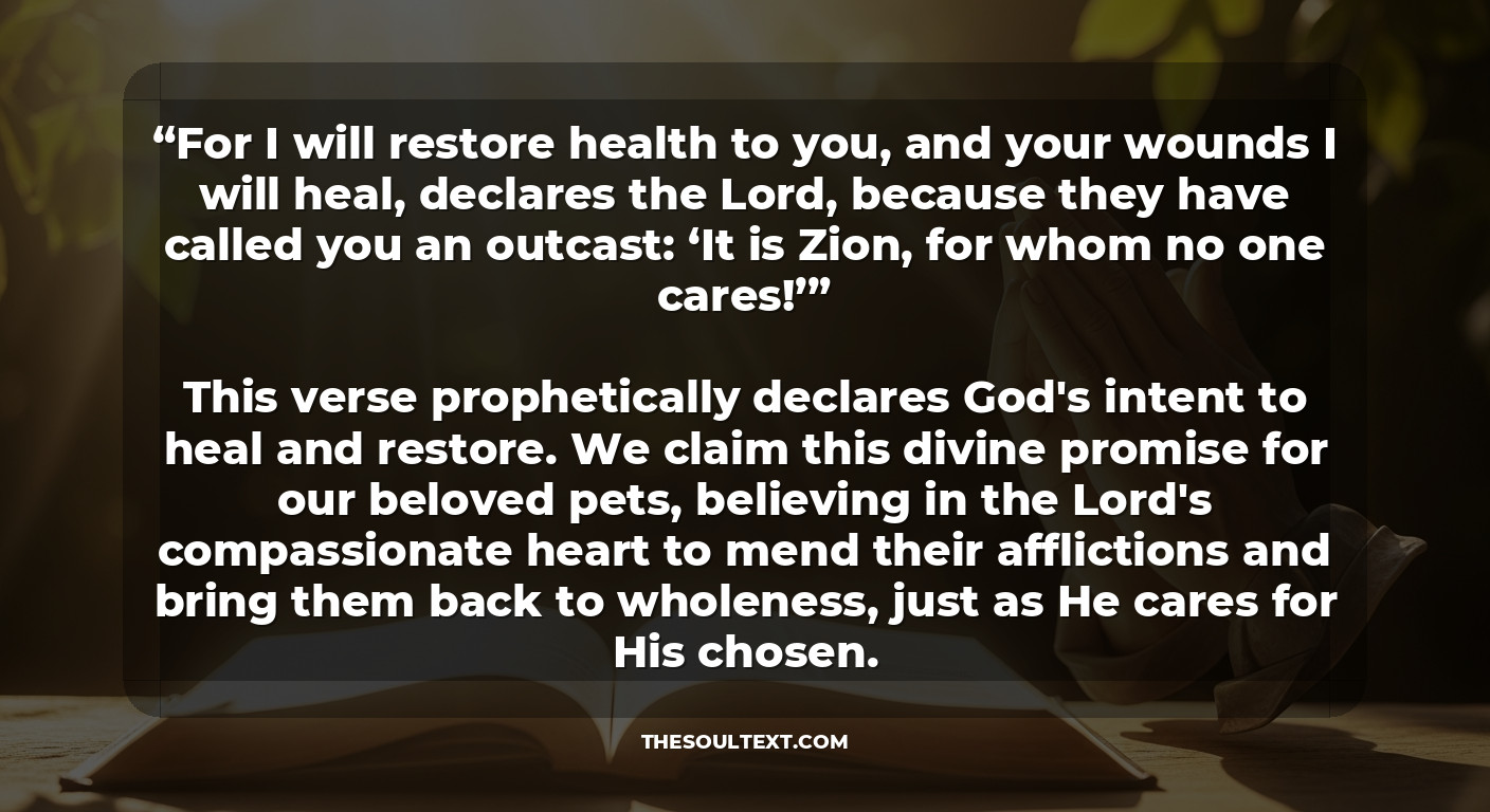Bible Verses for Pet Healing and Strength in the Midst of Sickness