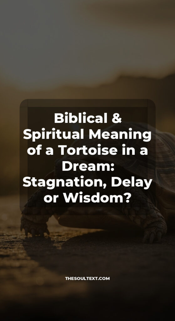 Story: Biblical & Spiritual Meaning of a Tortoise in a Dream: Stagnation, Delay or Wisdom?