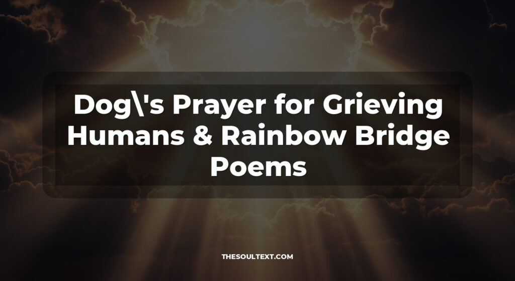 Dog's Prayer for Grieving Humans & Rainbow Bridge Poems