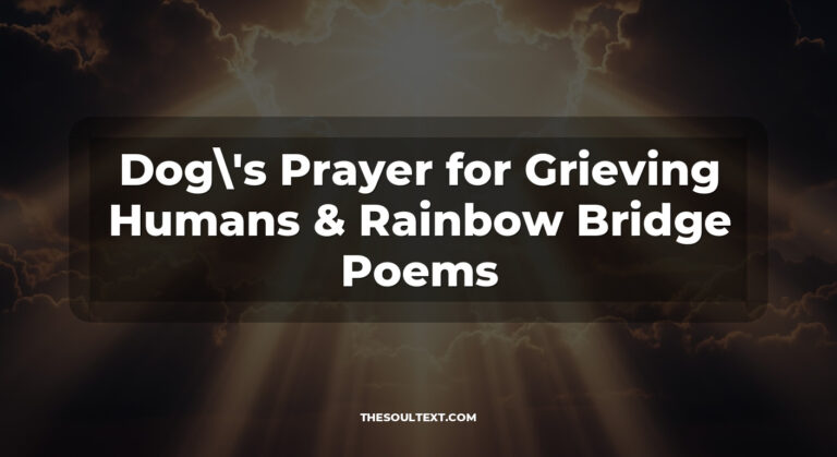 50+ Heart-Touching Dog’s Prayers for Grieving Humans (Rainbow Bridge)