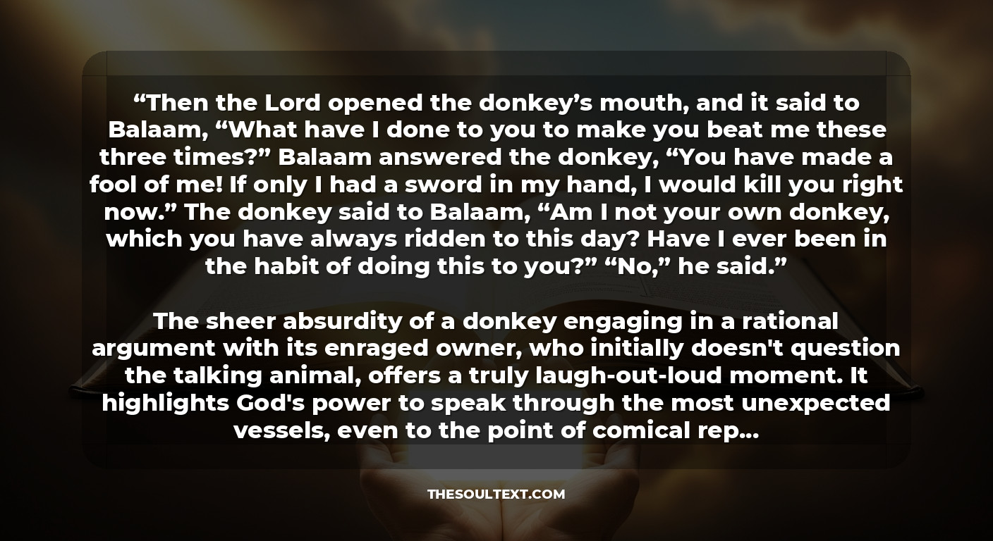 Funny Bible Verses That Will Make You Laugh Out Loud