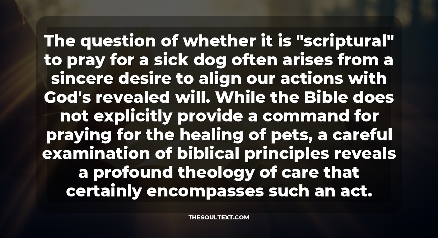 Is It Scriptural to Pray for a Sick Dog? (the Theology of Care)