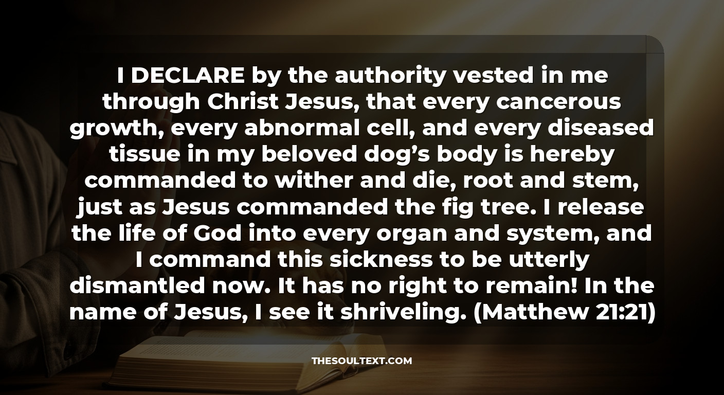 Miracle Prayer for a Sick Dog with Cancer: Command the Growth to Wither