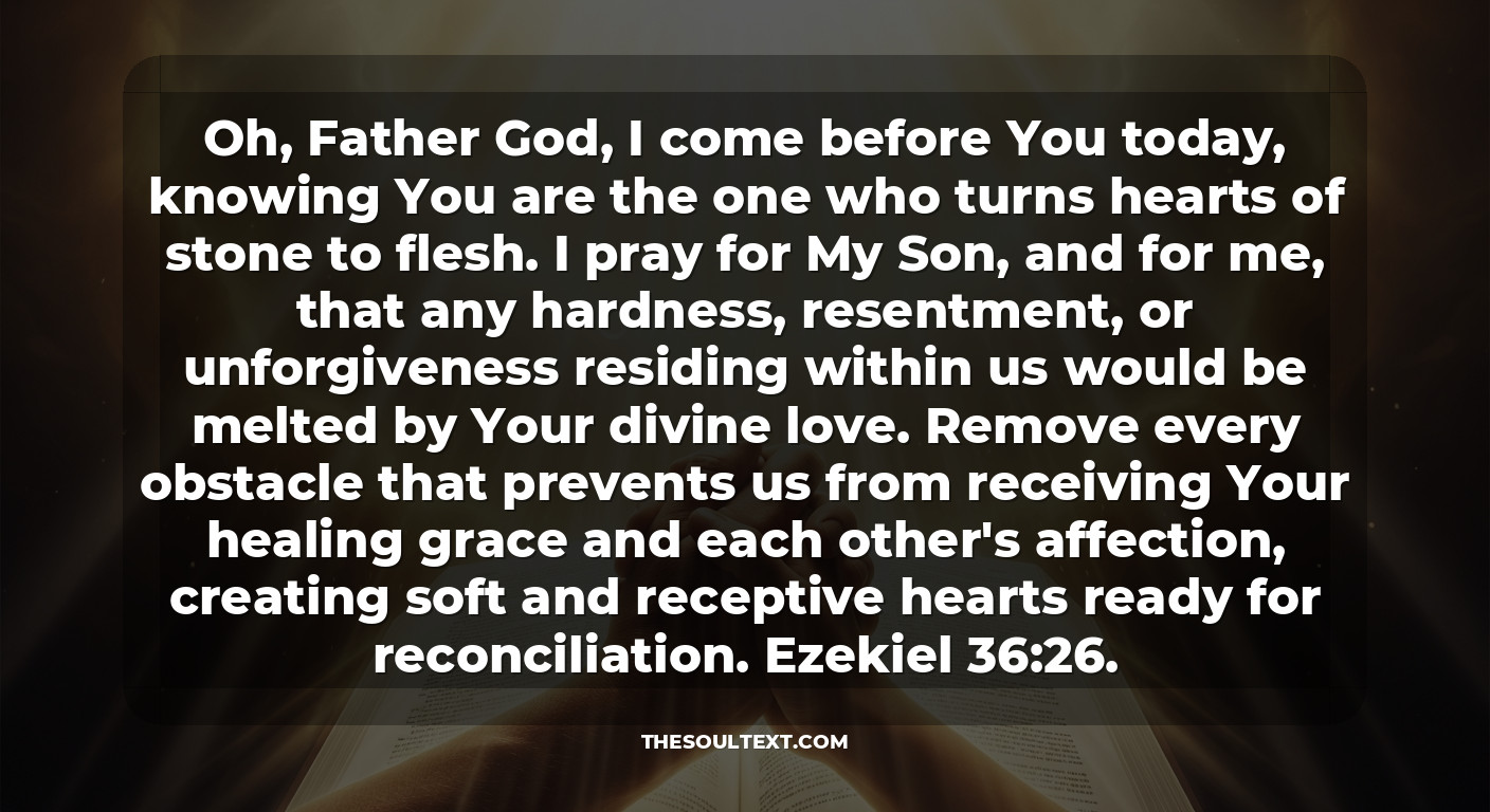 Powerful Prayer for Father-son Relationship (restoration)