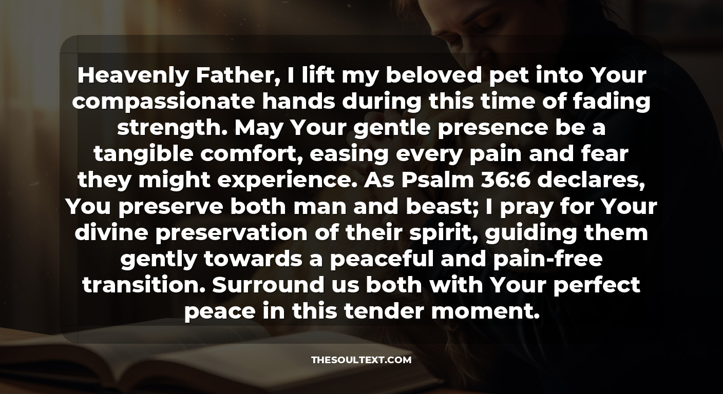 Prayer for a Sick Pet Before Passing (comforting Transition)