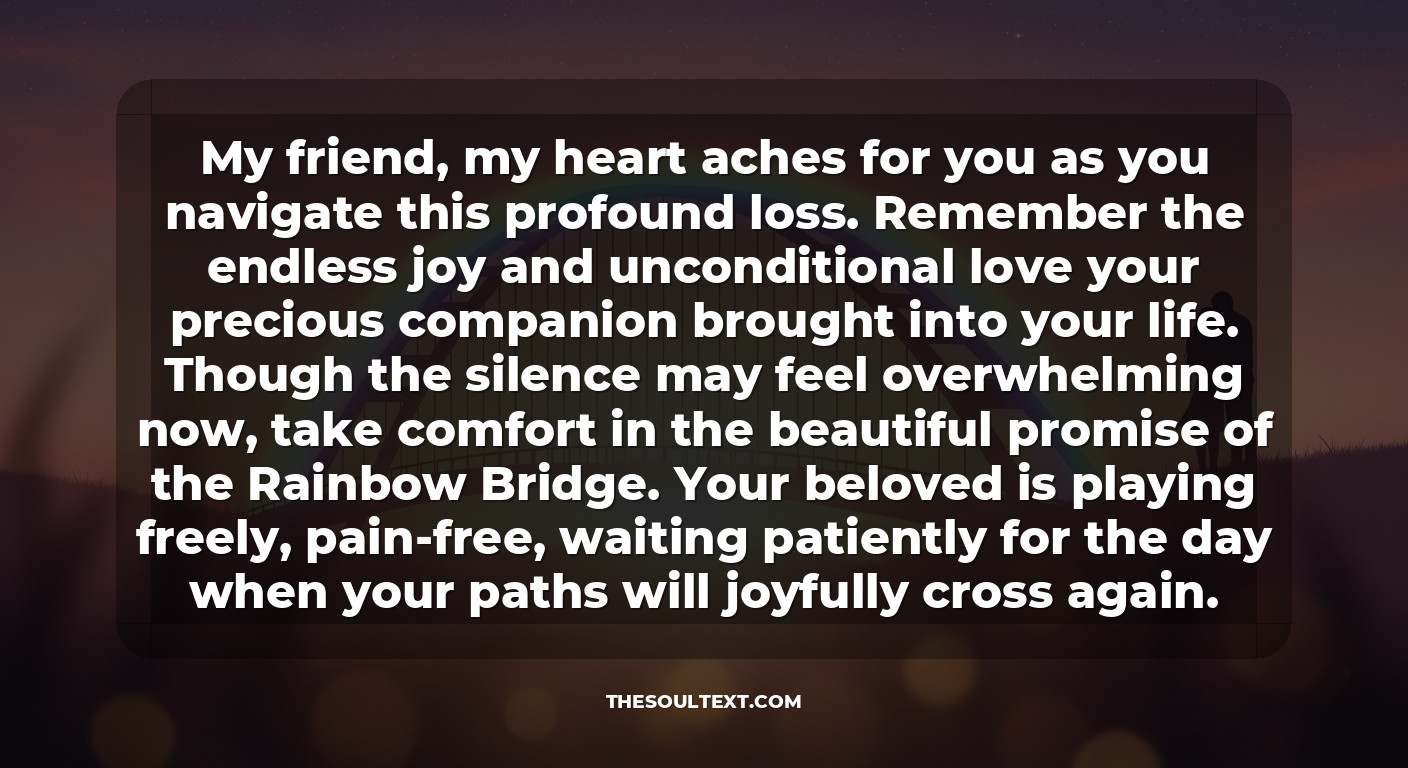 Rainbow Bridge: Sympathy Quotes (comforting & Sweet)