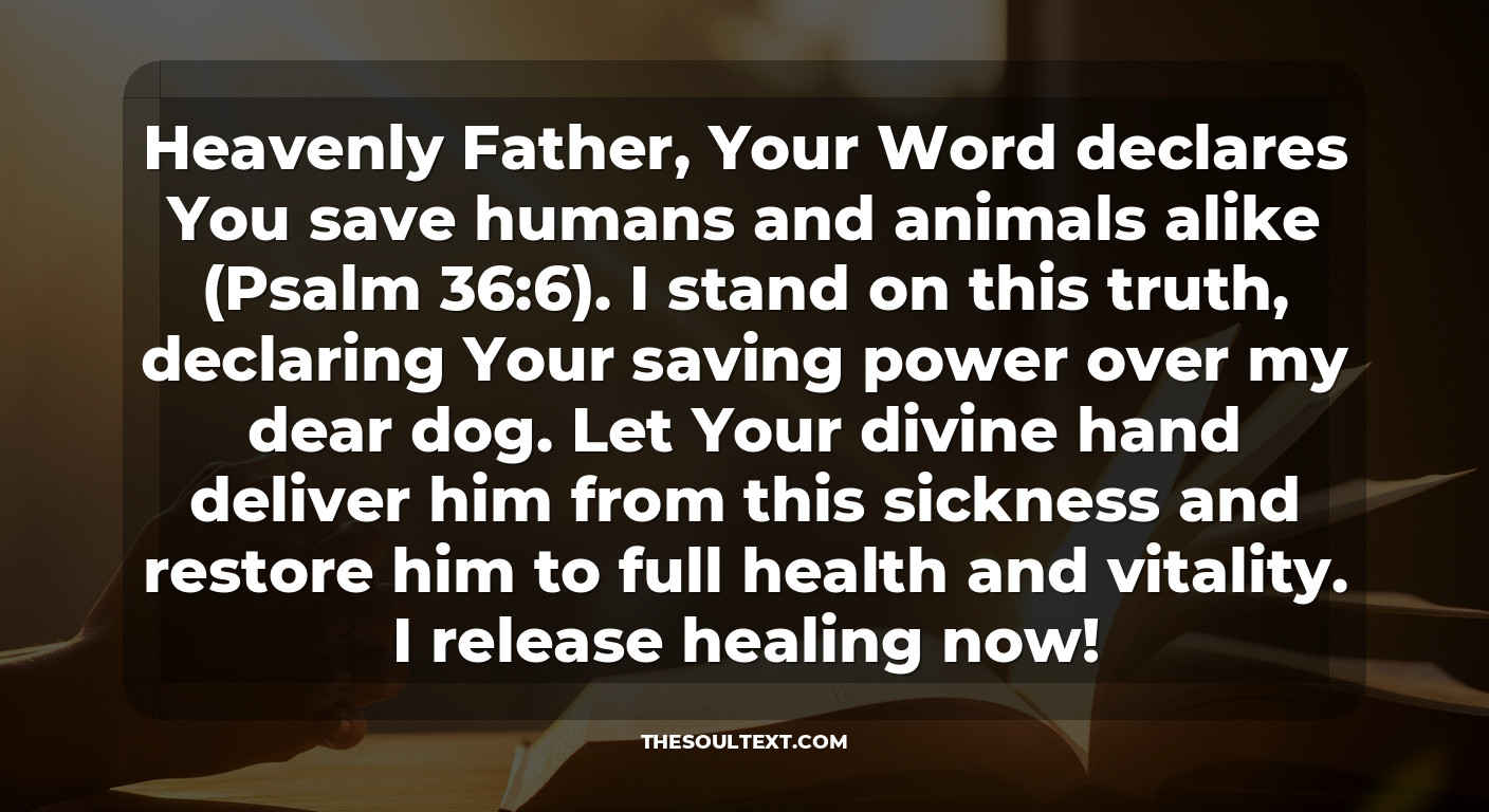 Short 1-minute Prayers to Whisper Over Your Sick Dog