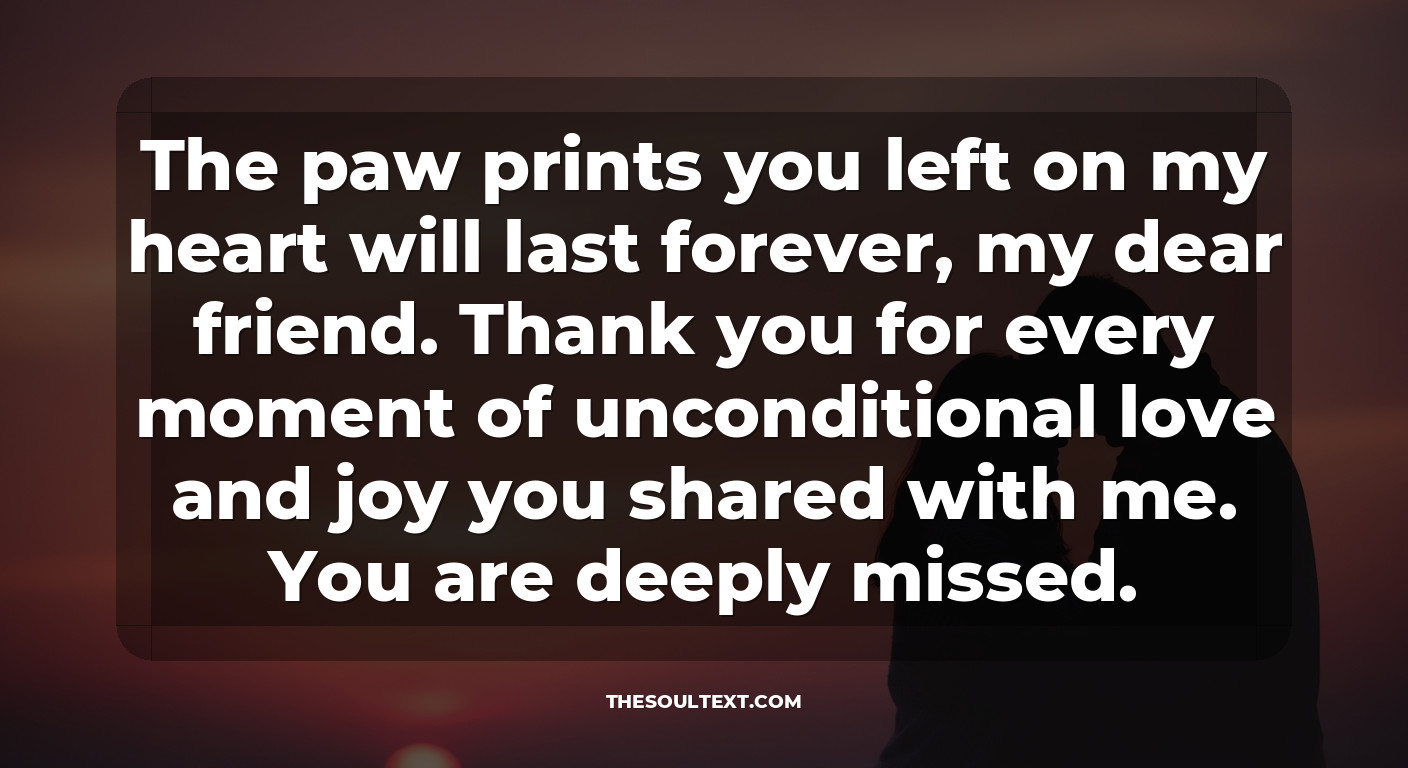 Short Captions for a Tribute Post on Social Media