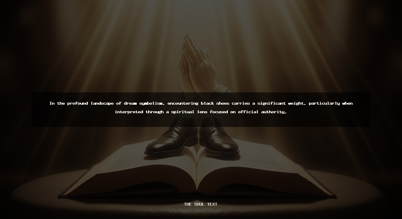 Spiritual Meaning of Black Shoes in a Dream: Official Authority