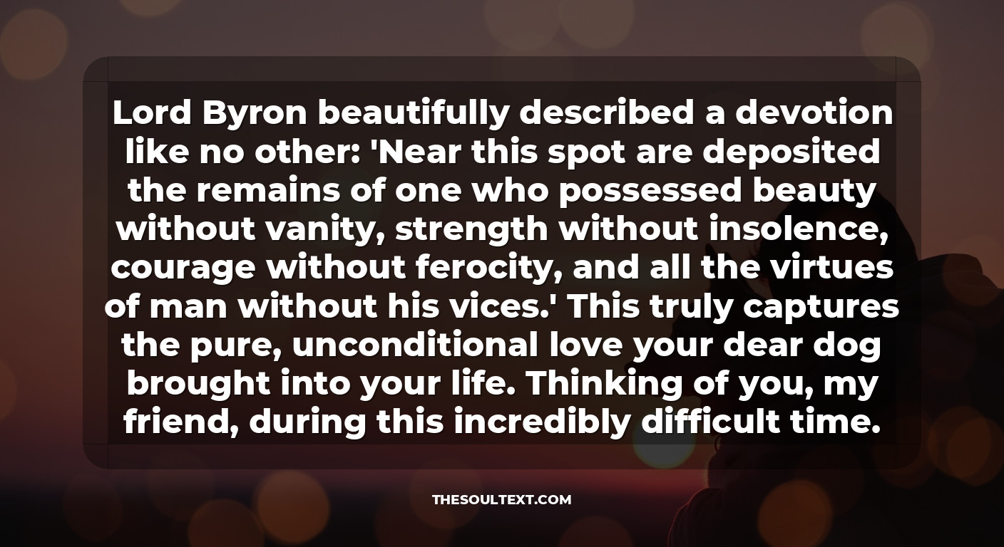 Sympathy Quotes from Famous Authors About Dogs and Cats