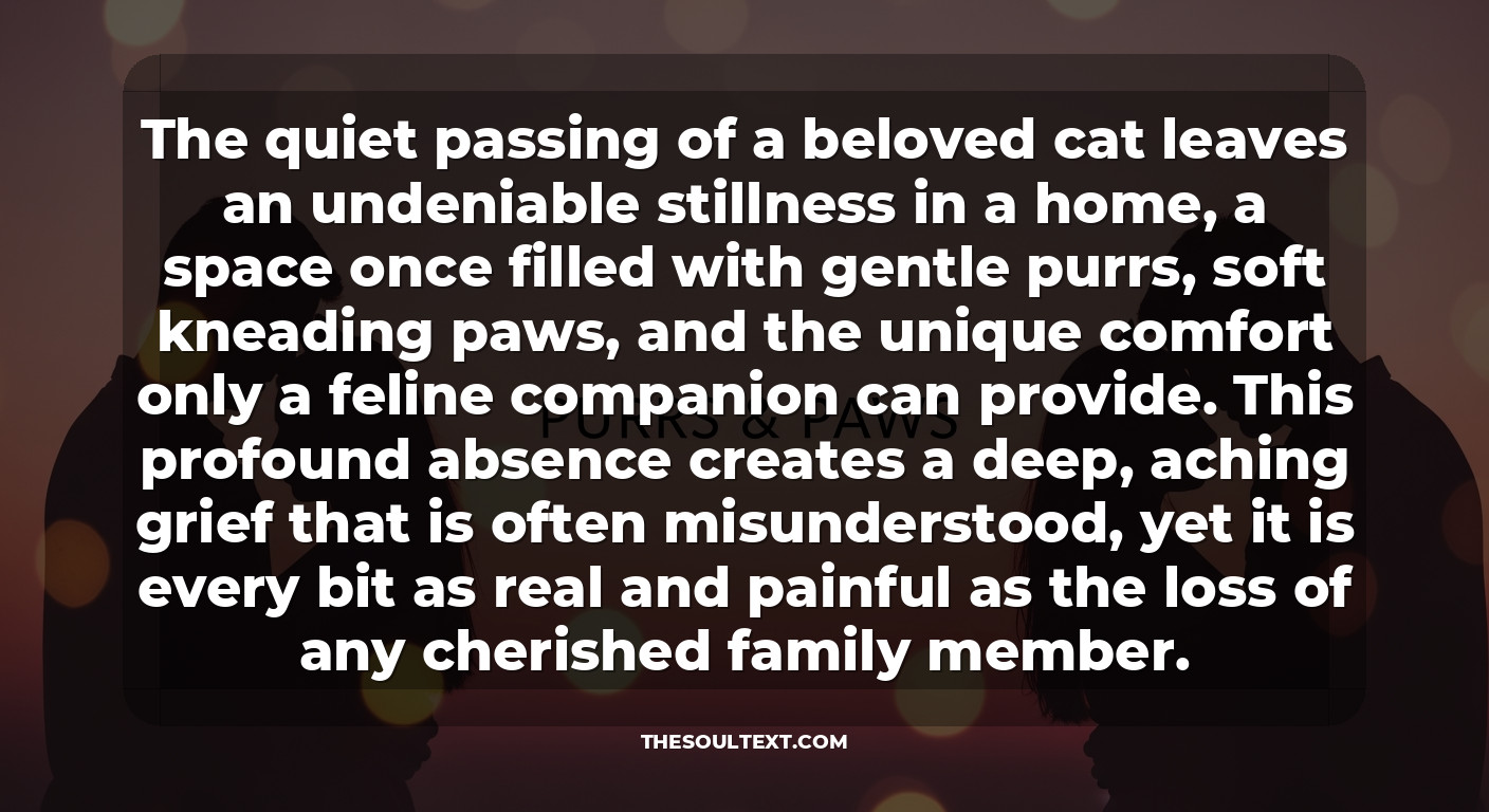 Sympathy Words for the Loss of a Cat (purrs & Paws)