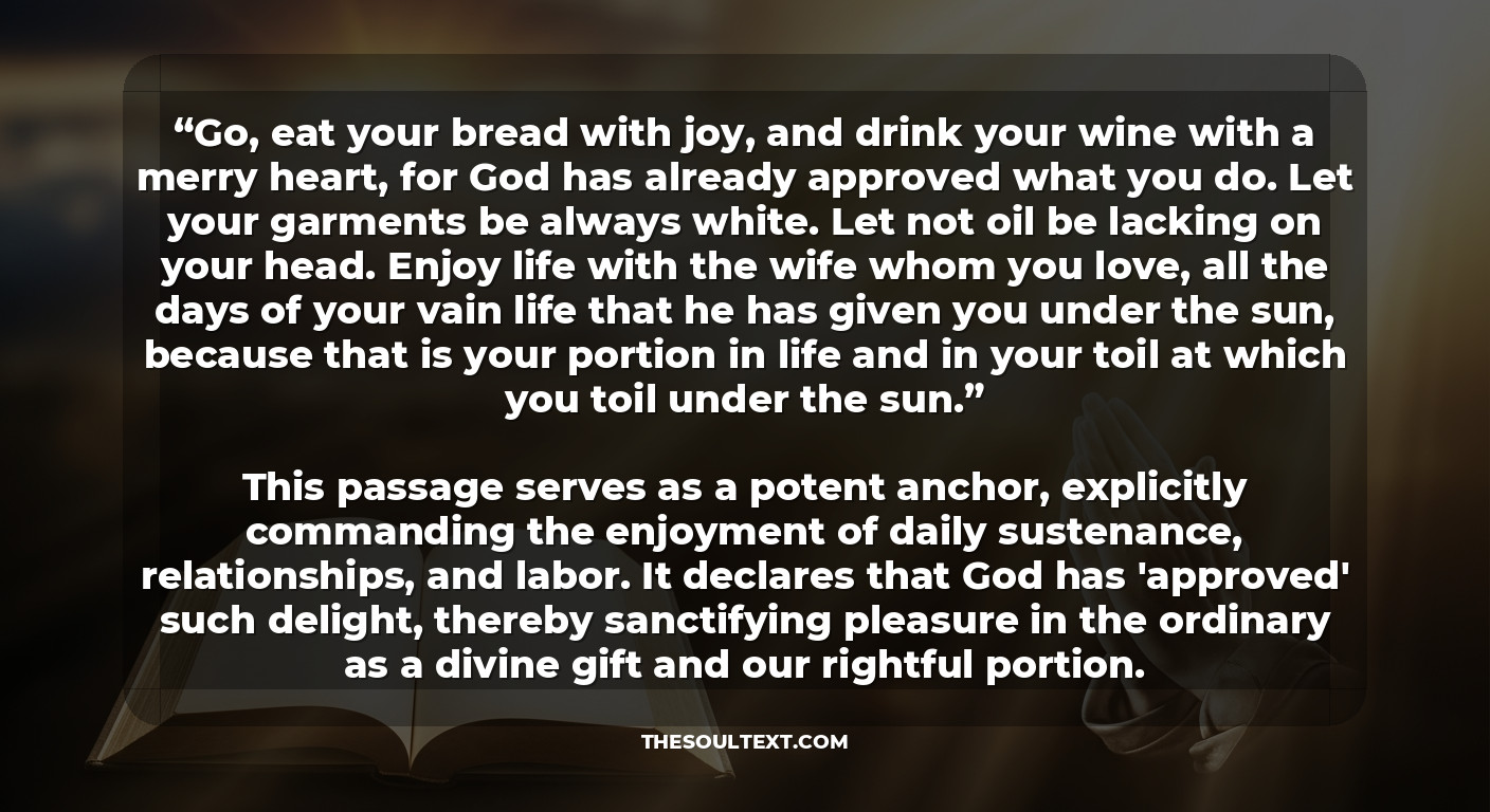 What Bible Verse Tells Us to Enjoy Life? (the Anchor Scripture)